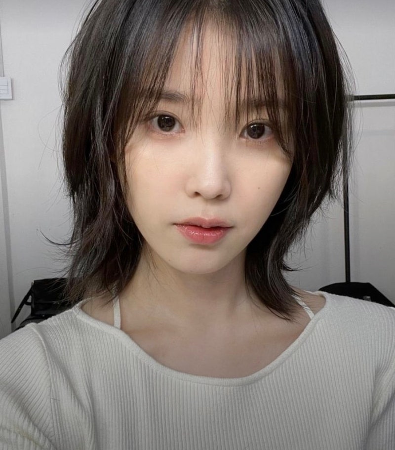 살롱드레브 이미지