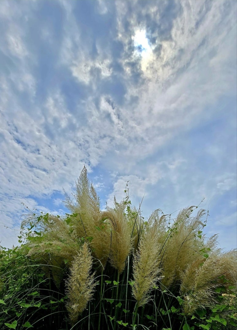 지리산밧데리 이미지