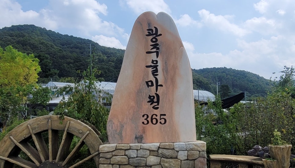 광주율마원365 이미지