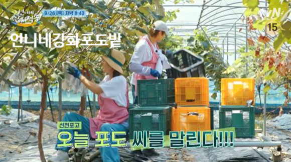 달콤한가위질 이미지