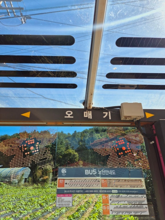 보고상회 이미지