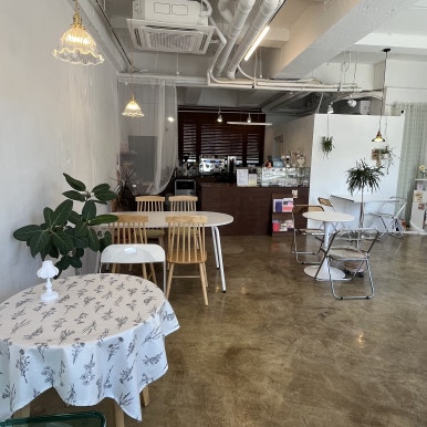 카페디토(Cafe Ditto) 이미지
