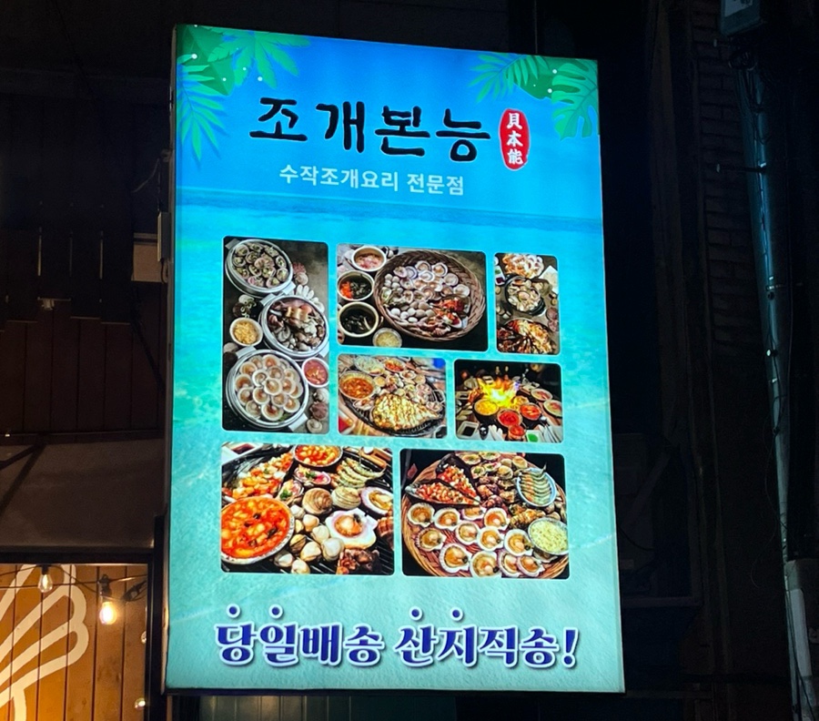 조개본능 이미지