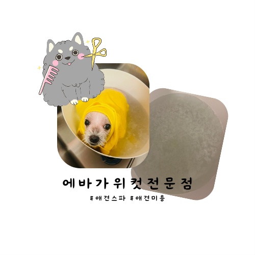 에바가위컷 전문점 이미지