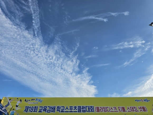 주식회사 뉴스포츠센터 이미지