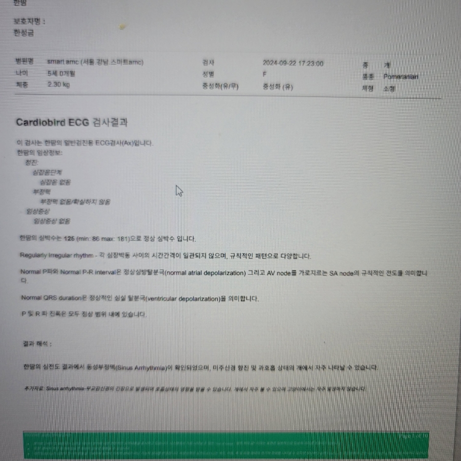 강아지 심장초음파 검사, 스마트동물병원 정밀 진단 비용 — 사진 15