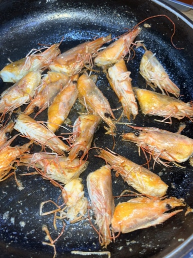 플로D 이미지