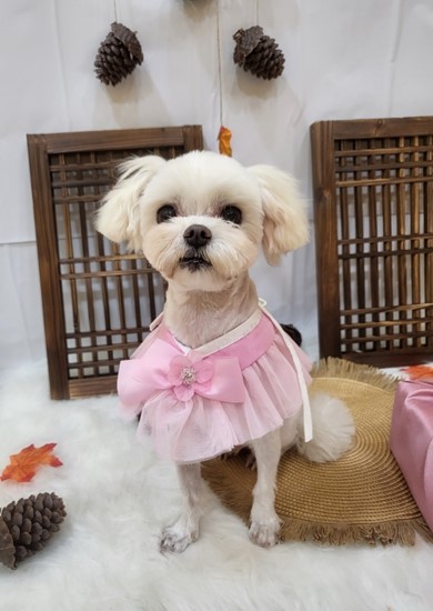 더사랑미용실 이미지