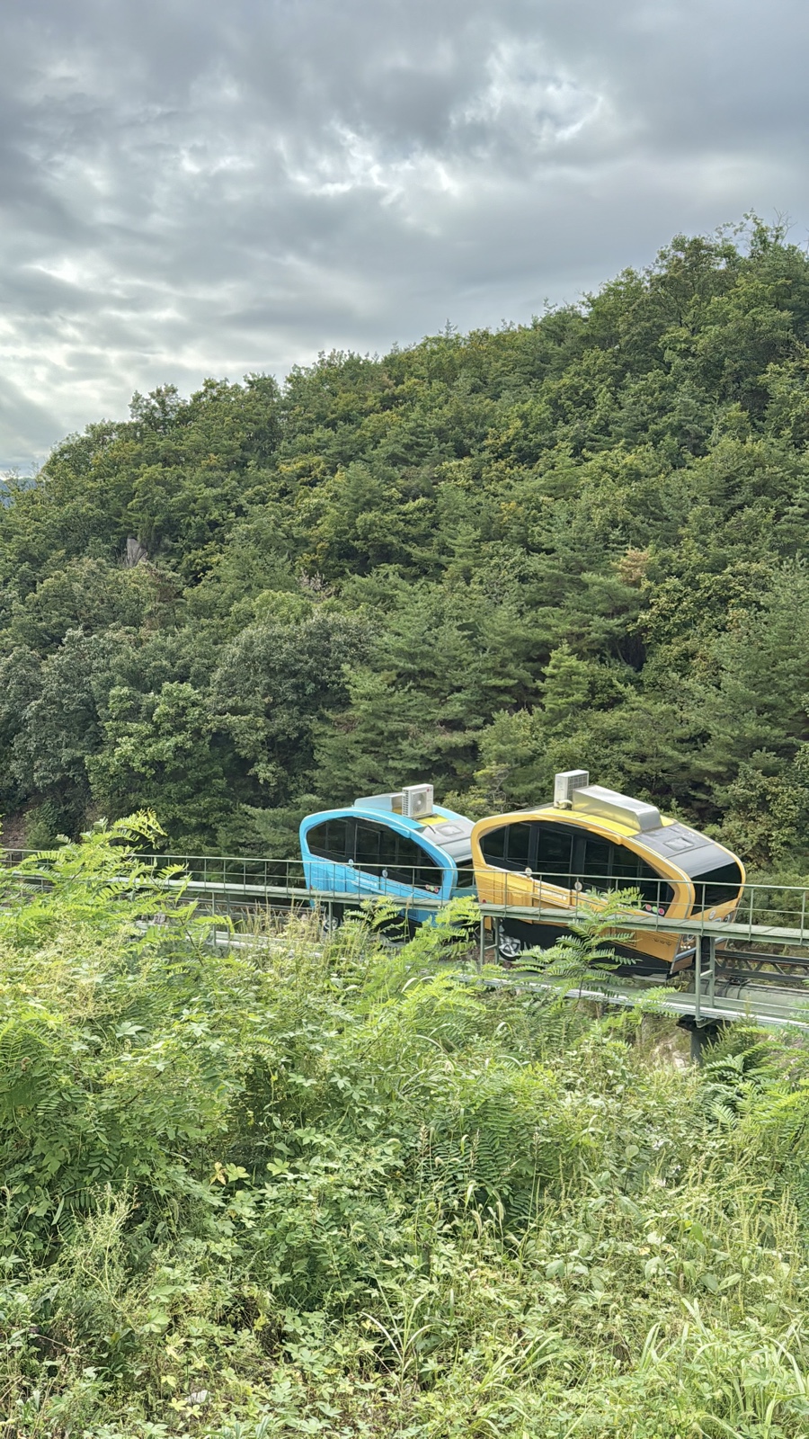 덕둔리136 이미지