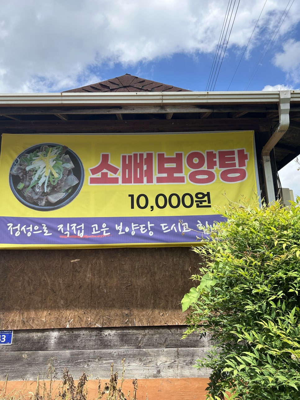 바다한우암소 이미지