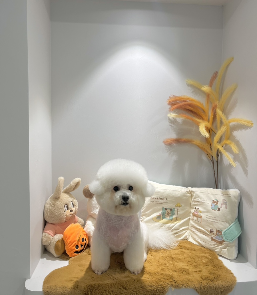 위드스테이부산 이미지