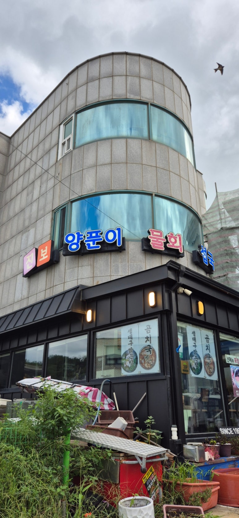진보양푼이물회 이미지