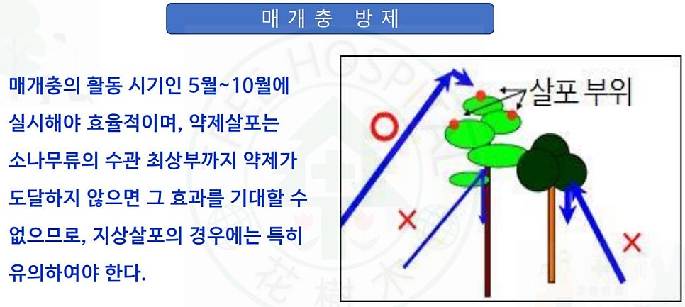 소나무병원 이미지
