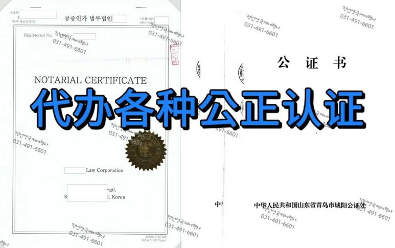안산국제여행사 이미지