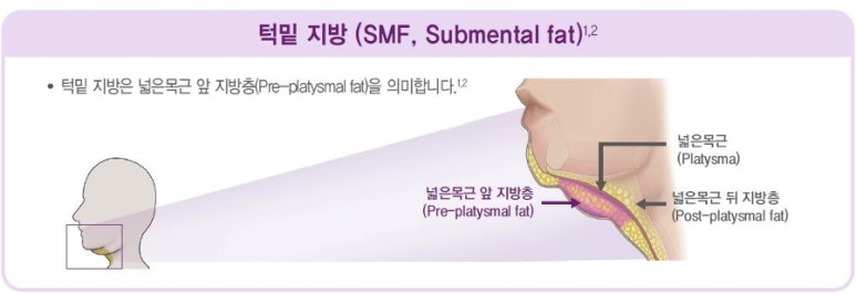 삼성더블의원 이미지