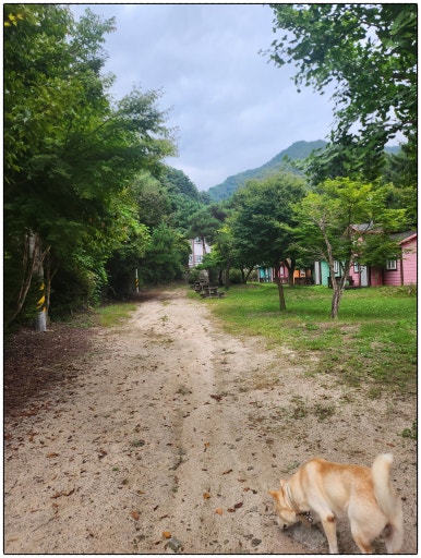 소나무펜션 이미지