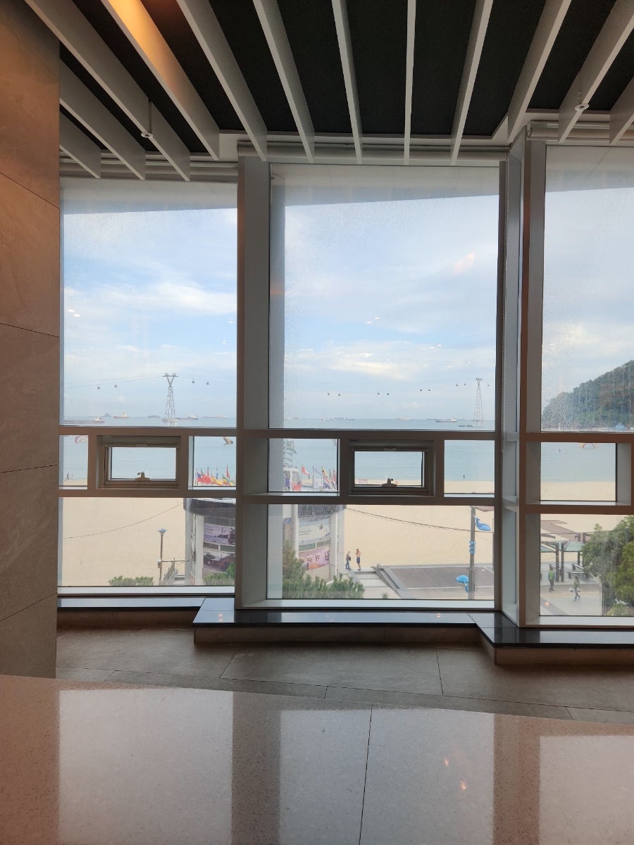 송도 그랩디오션 호텔 프리미어 스위트 애견동반 후기 — 사진 8