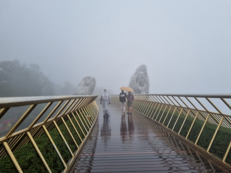도진주 이미지