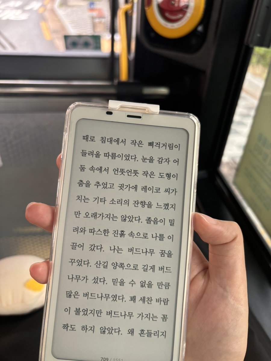 팔마미용실 이미지
