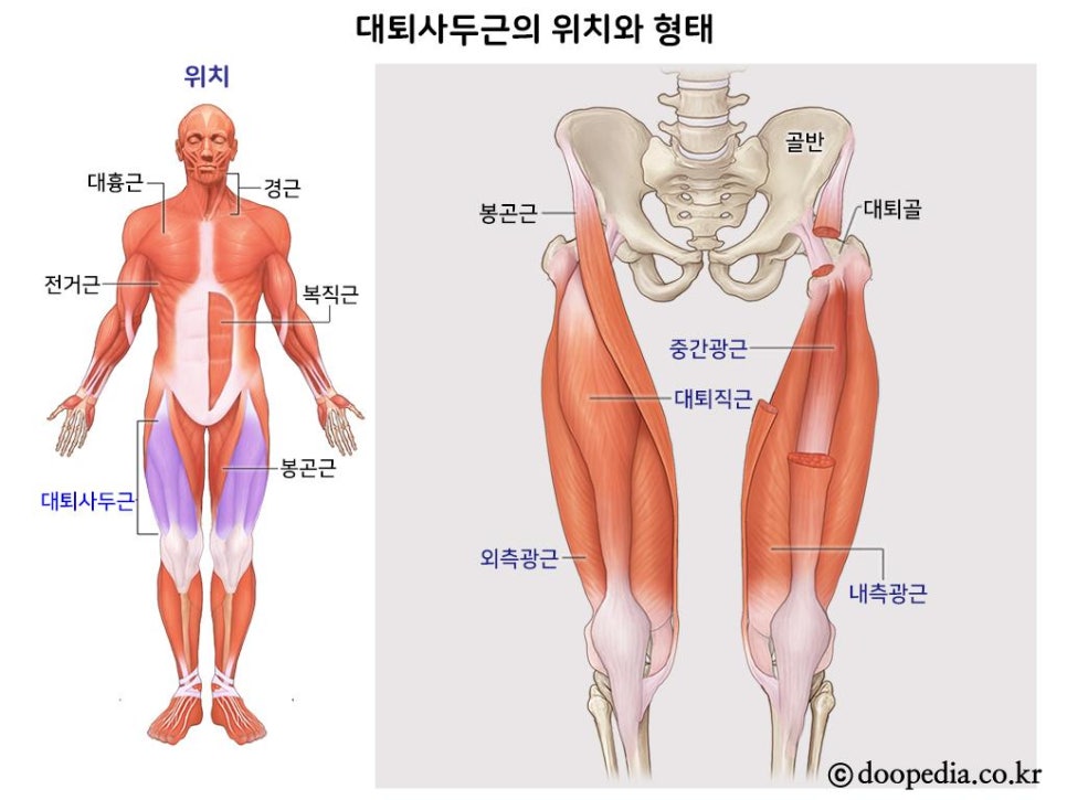 브이피트니스 이미지