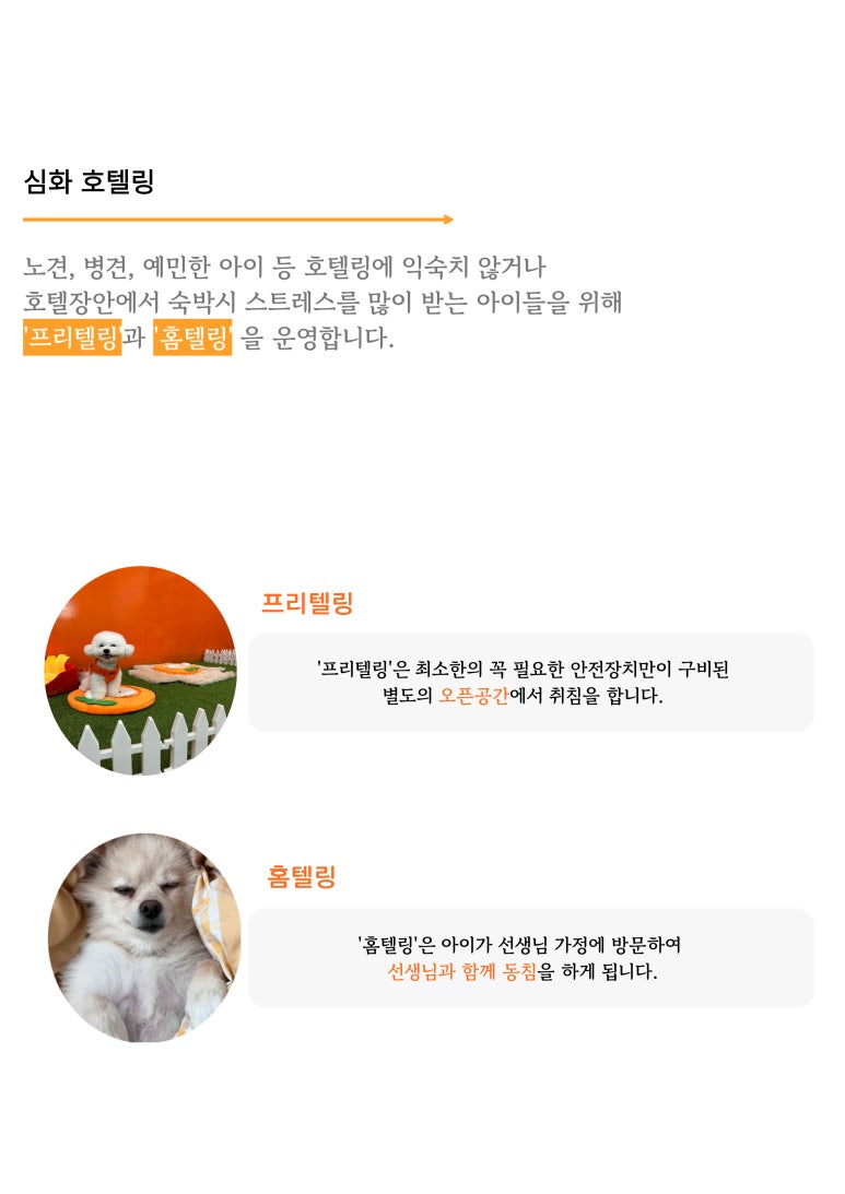 하루&도화 이미지