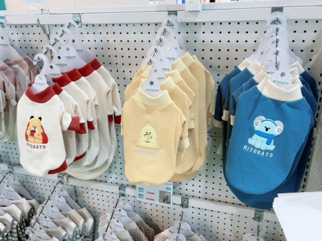해피스타인터내셔널 이미지