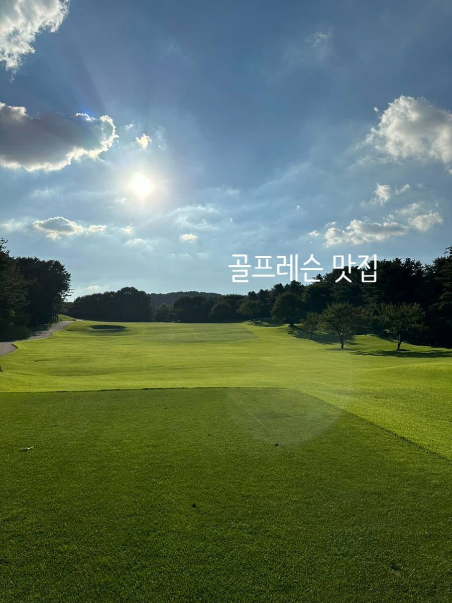 남코스5번 이미지