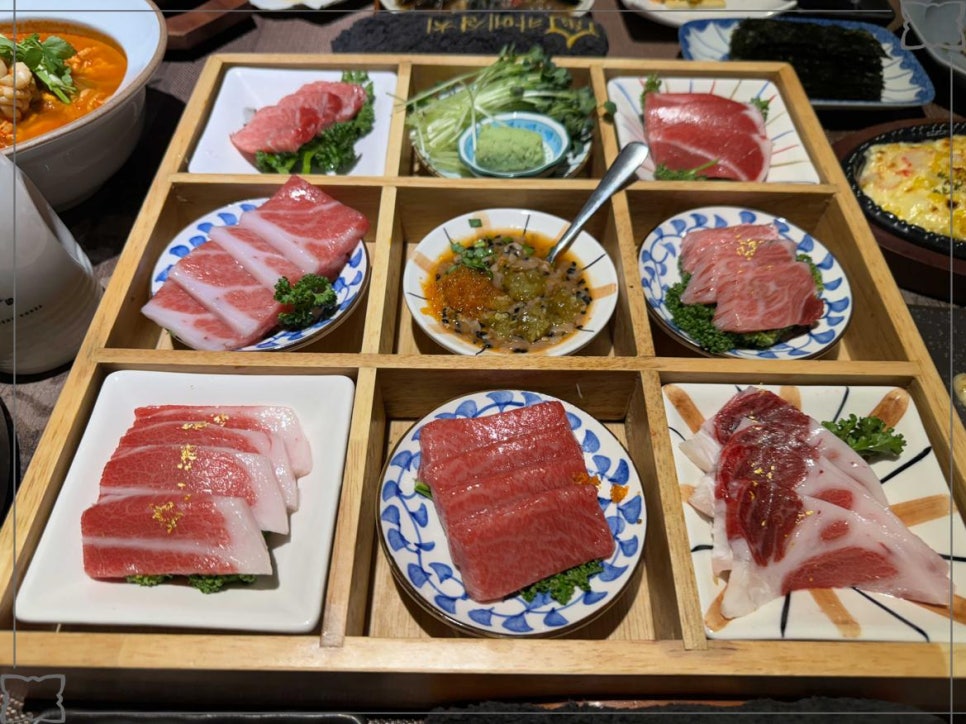 카메참치 이미지