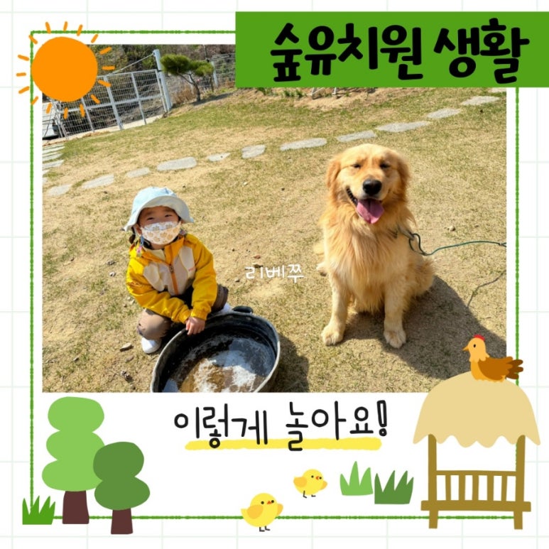 도담소리숲유치원 이미지