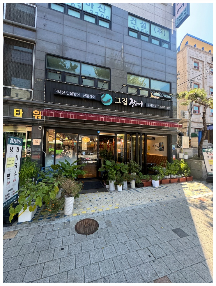 용마그집장어 이미지