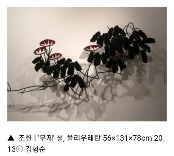 조*환 이미지