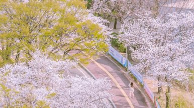 대치관리형스파르타스터디카페 이미지