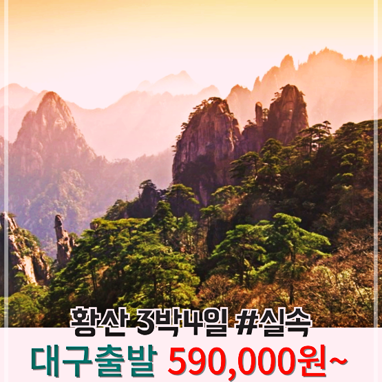 JD여행사 이미지