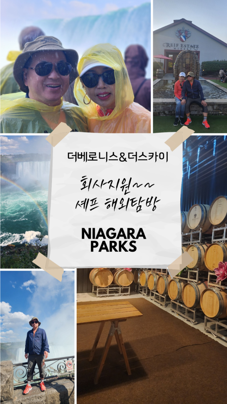 더스카이레스토랑 이미지