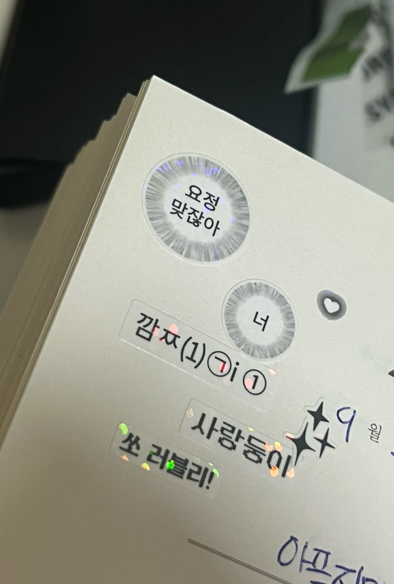 그집뒷뚱 이미지