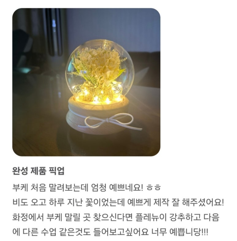 플레뉴이 이미지