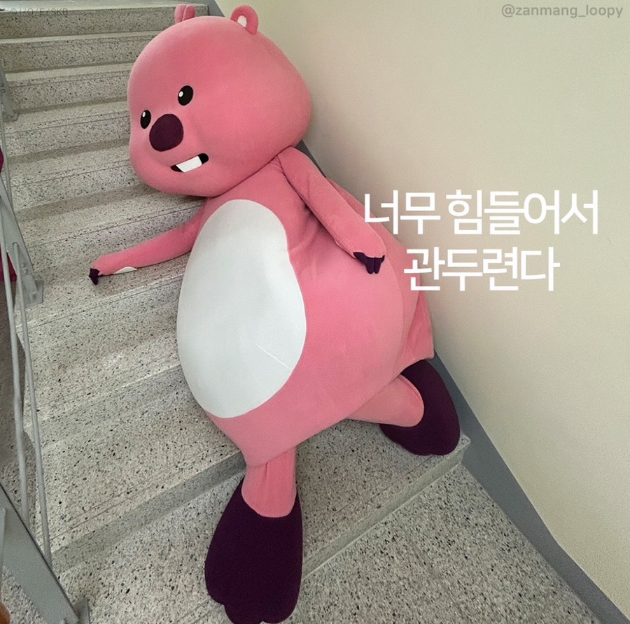 조금만천천히 이미지