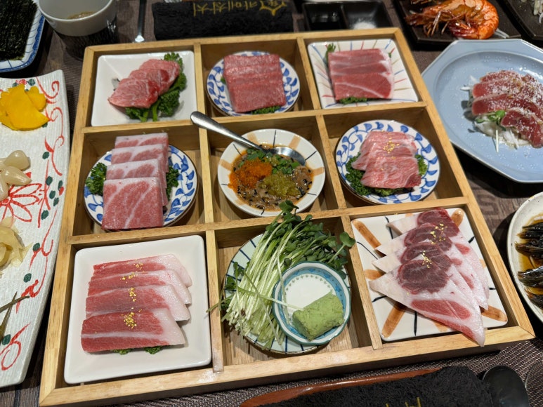 카메참치 이미지