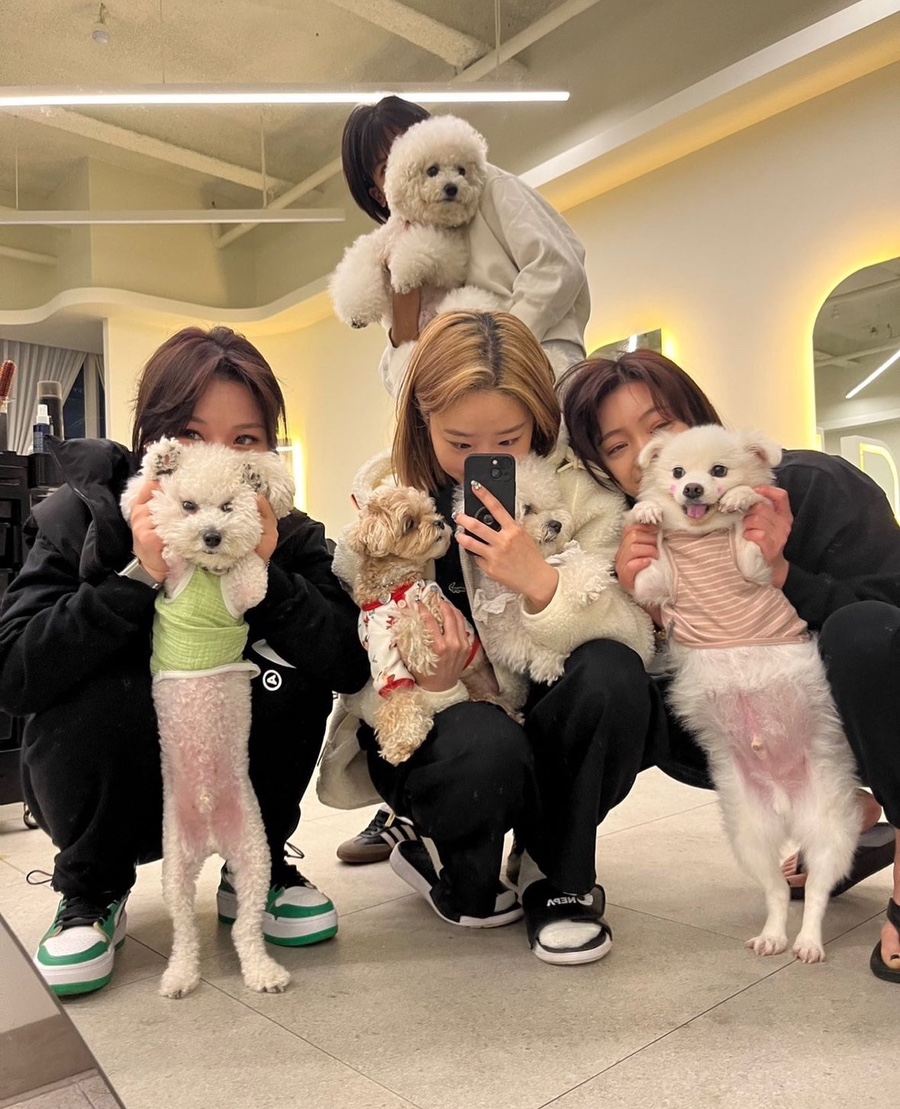 엘바노헤어 이미지