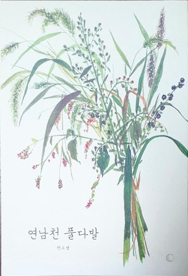 벨벨왓 이미지