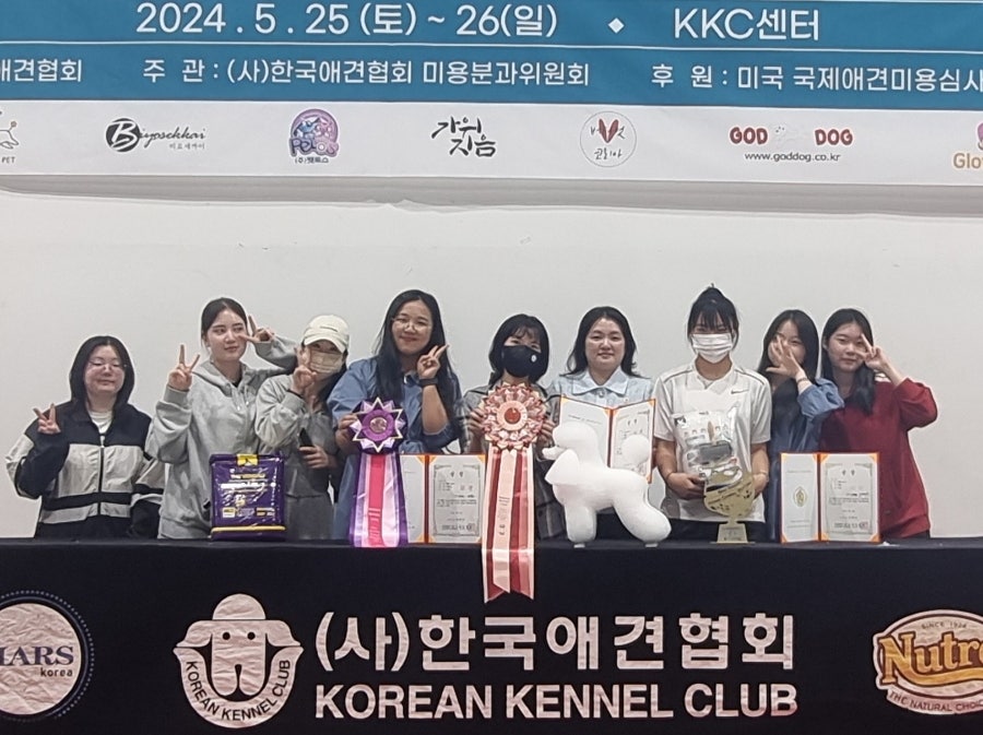 벨라루시애견미용학원 이미지