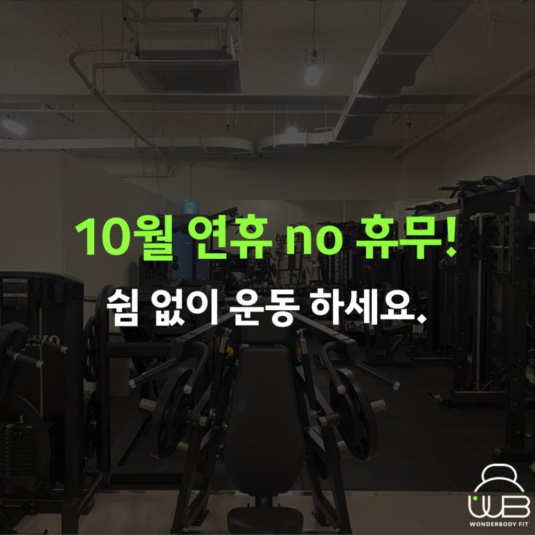 원더바디핏 이미지