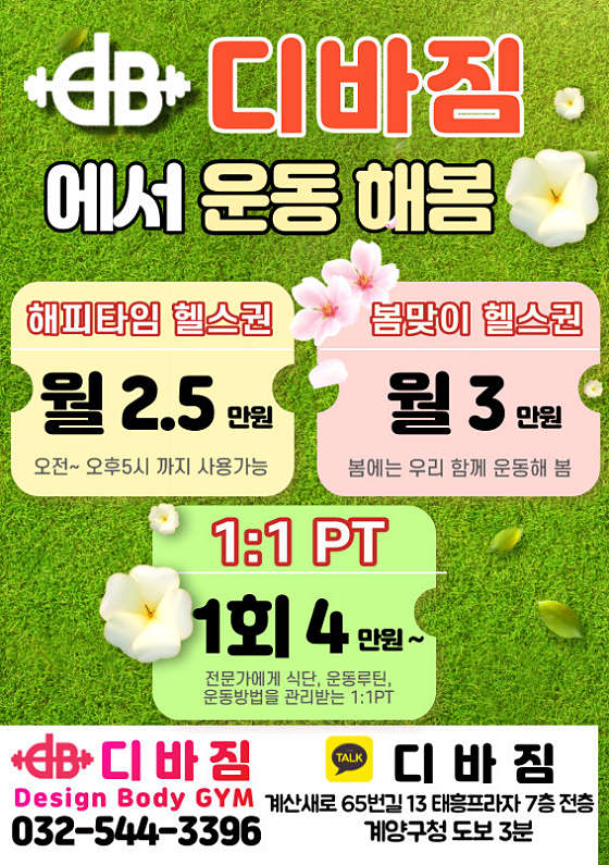 디바짐 이미지