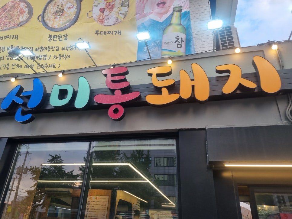 선미통돼지시지 이미지
