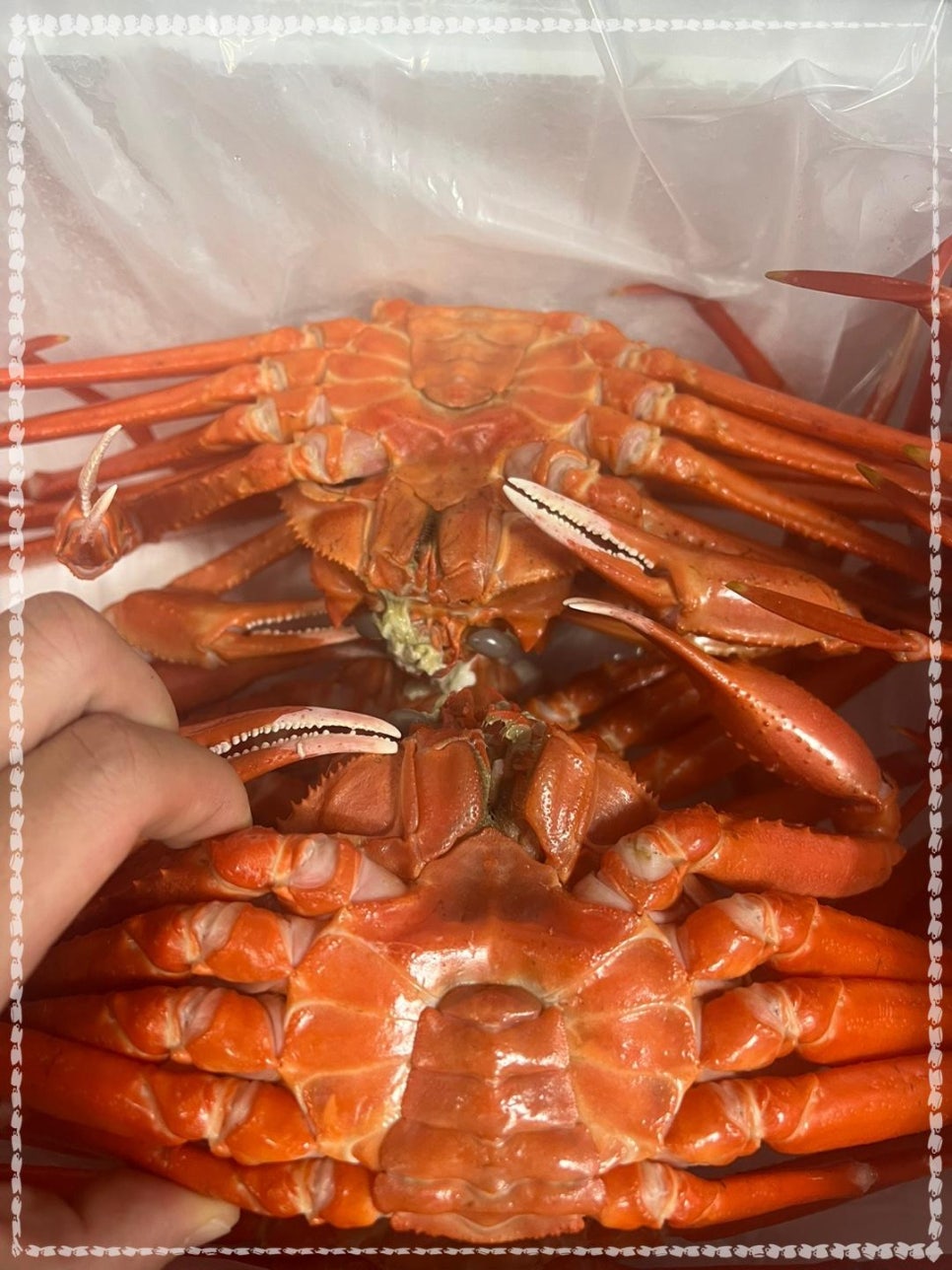 킹수산 이미지