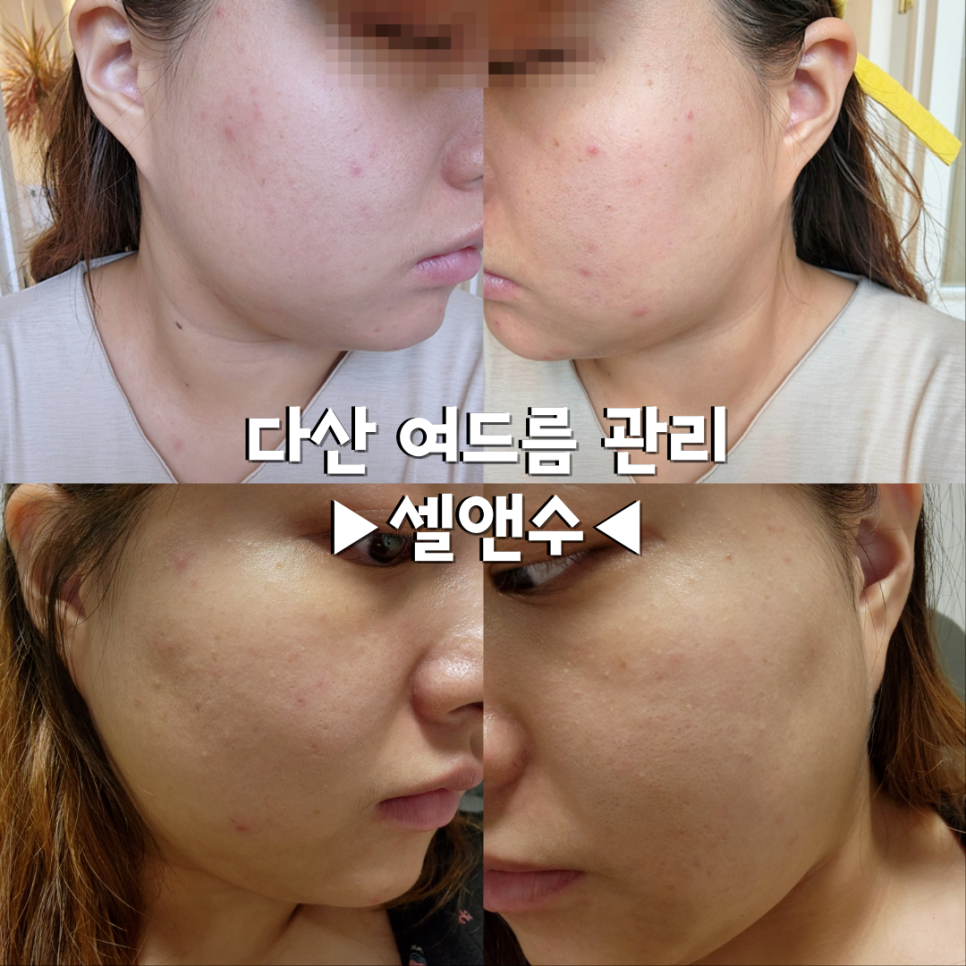 셀앤수 이미지