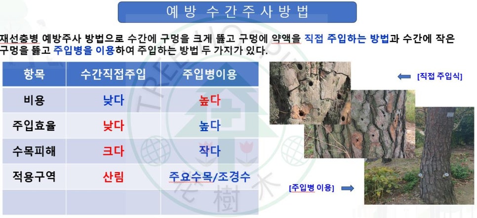소나무병원 이미지