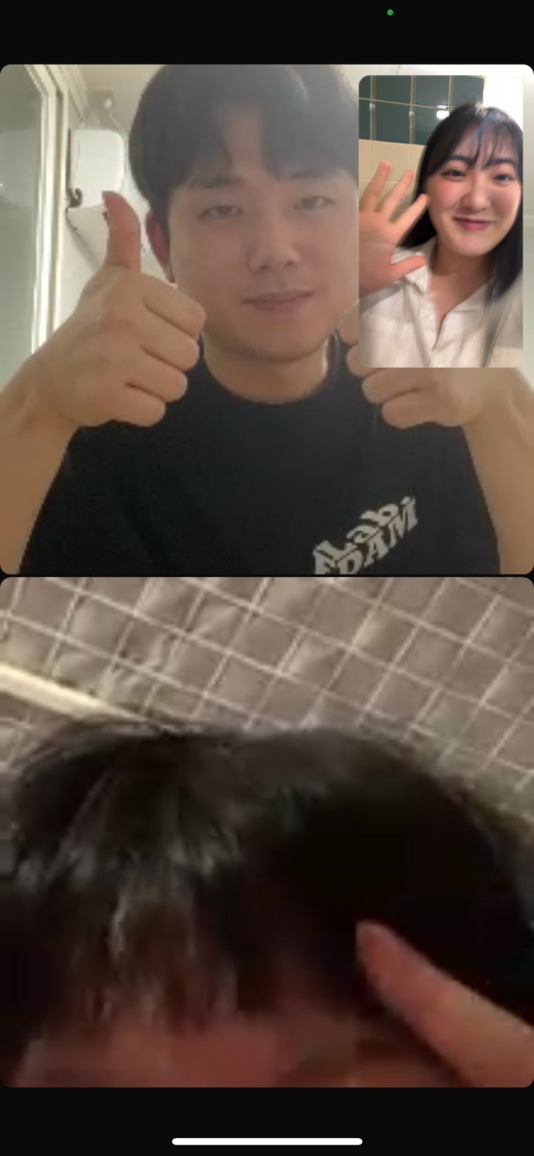 라삐도 이미지