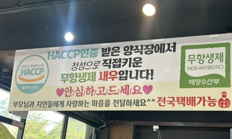 철없는 새우 이미지