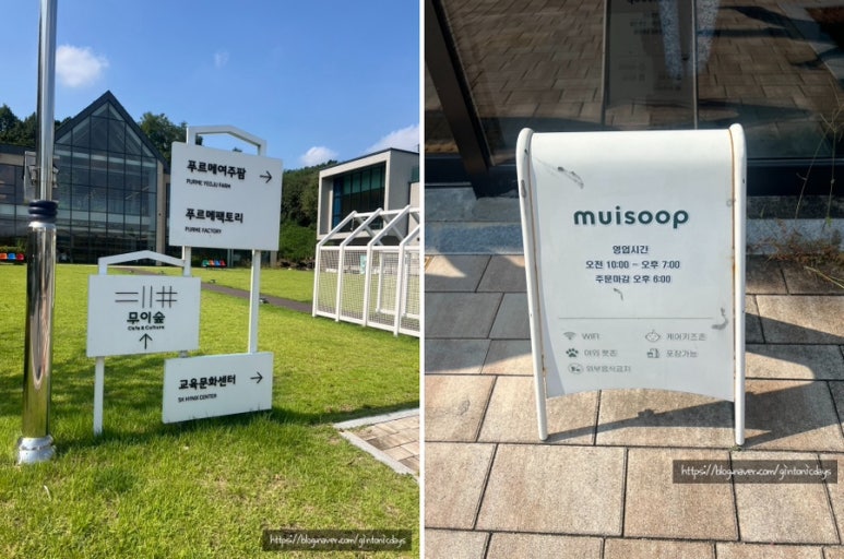 스페이스무이 이미지